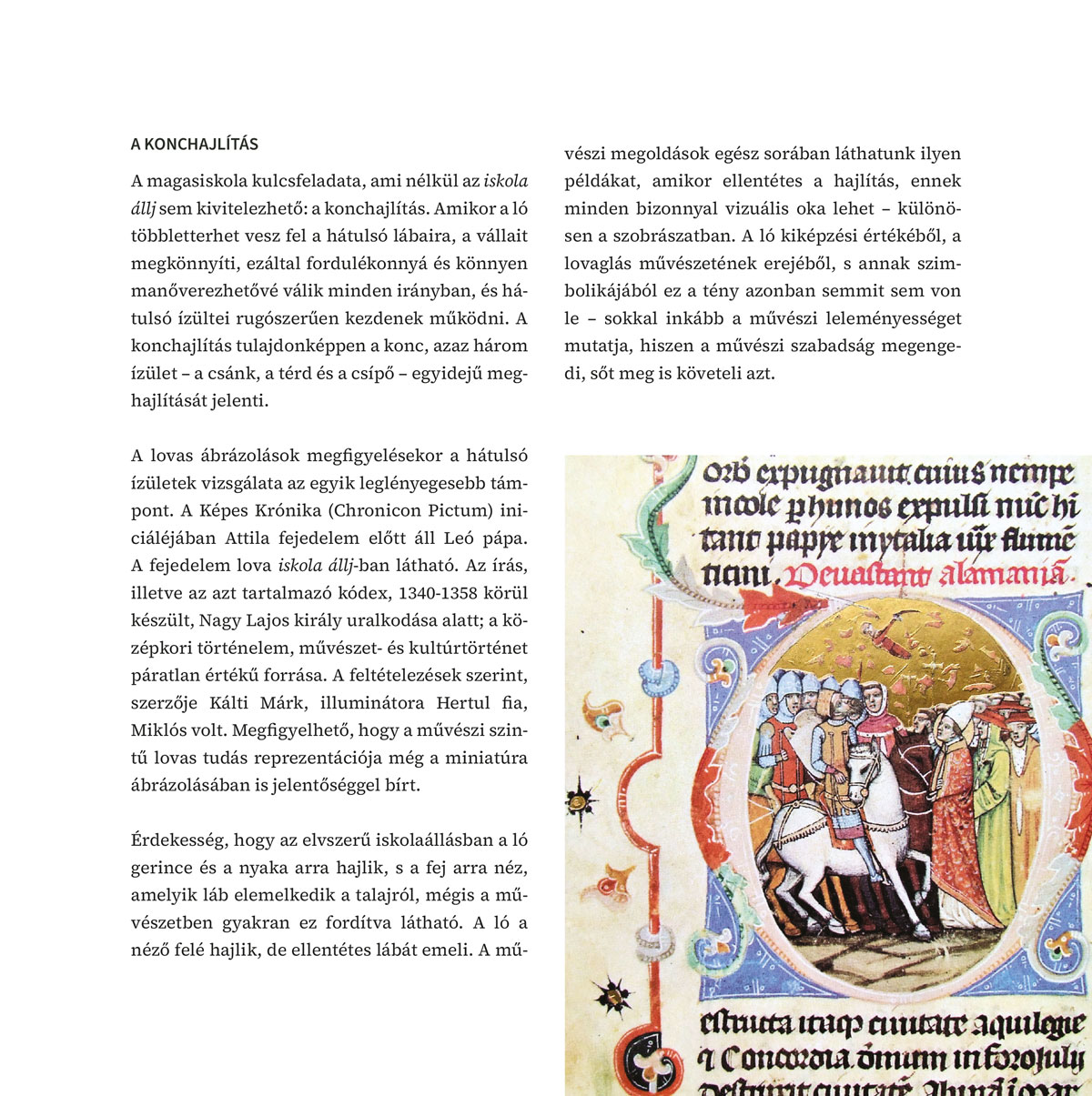 Kép 12