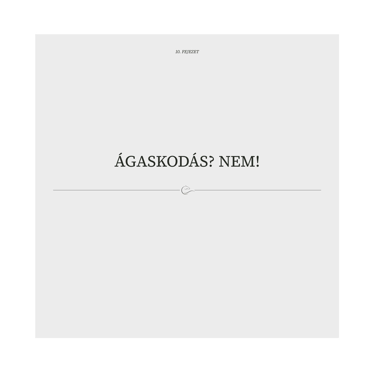 Kép 6